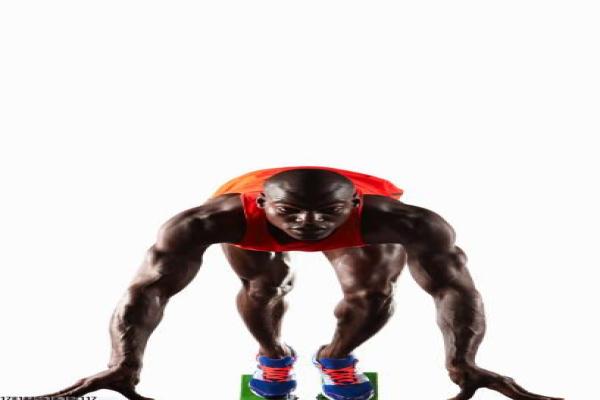 石家庄体育培训班课程设置与学员评价